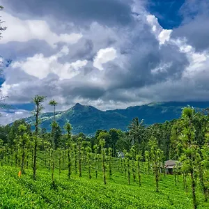 ende-wayanad-resort.kerala-hotels.net/